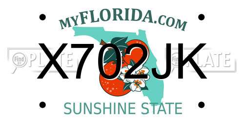 X702JK Florida License Plate