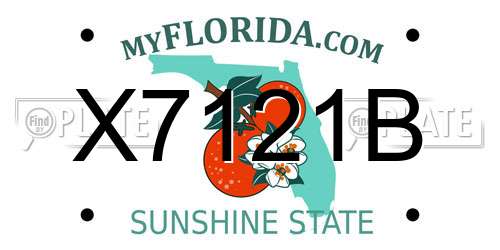 X7121B Florida License Plate