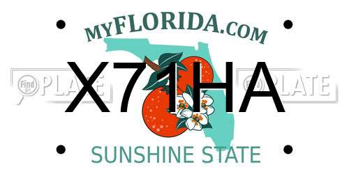 X71HA Florida License Plate