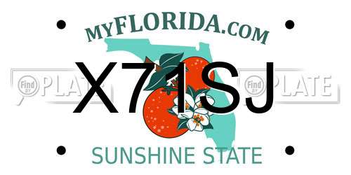 X71SJ Florida License Plate