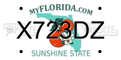 X723DZ Florida License Plate
