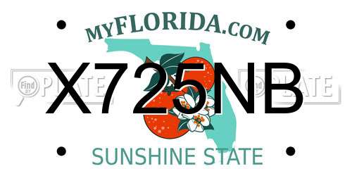 X725NB Florida License Plate
