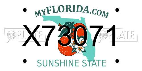 X73071 Florida License Plate