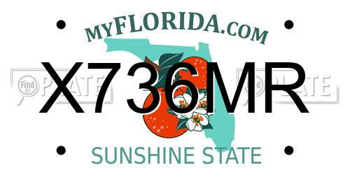 X736MR Florida License Plate