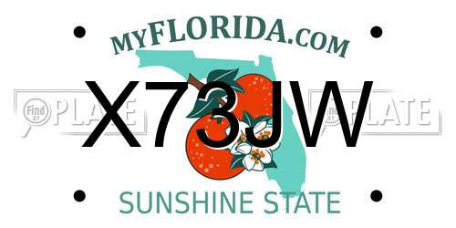 X73JW Florida License Plate