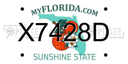 X7428D Florida License Plate