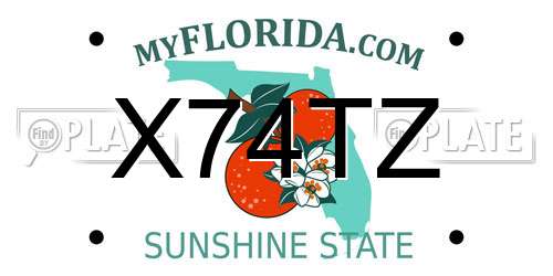 X74TZ Florida License Plate