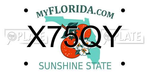 X75QY Florida License Plate