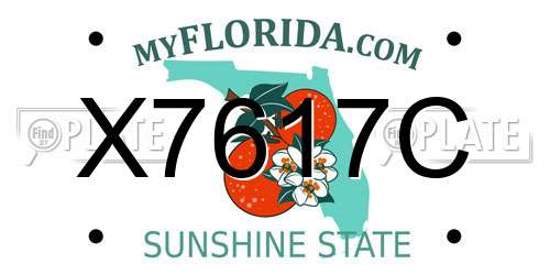 X7617C Florida License Plate