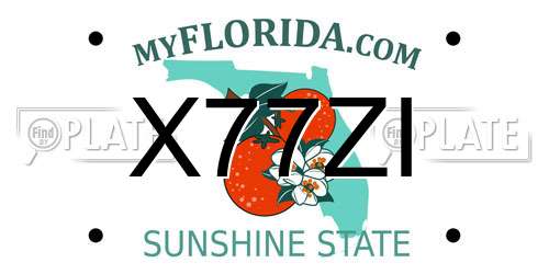 X77ZI Florida License Plate