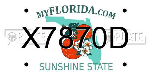 X7870D Florida License Plate