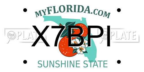 X7BPI Florida License Plate