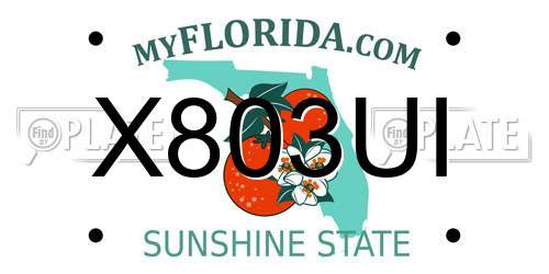 X803UI Florida License Plate