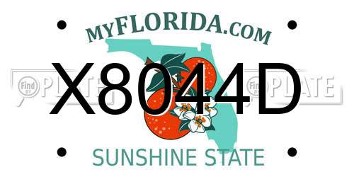X8044D Florida License Plate