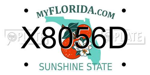 X8056D Florida License Plate