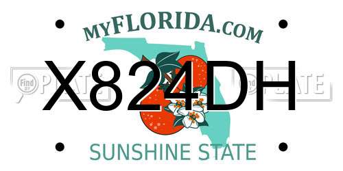 X824DH Florida License Plate