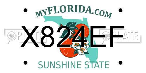 X824EF Florida License Plate