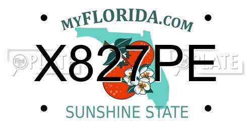 X827PE Florida License Plate