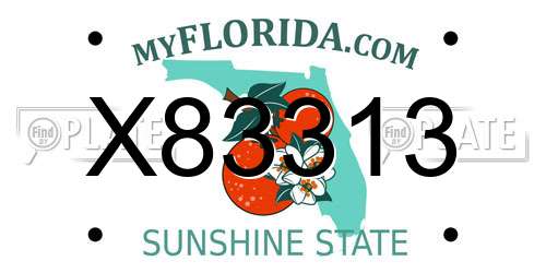 X83313 Florida License Plate