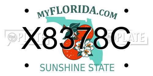 X8378C Florida License Plate