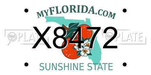 X8472 Florida License Plate