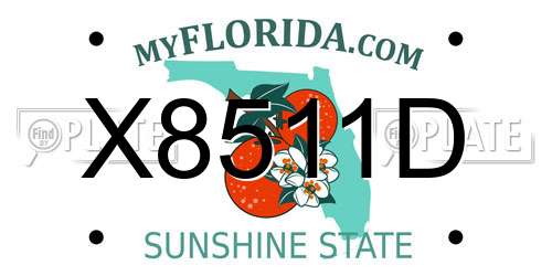 X8511D Florida License Plate