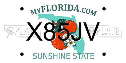 X85JV Florida License Plate