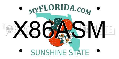 X86ASM Florida License Plate
