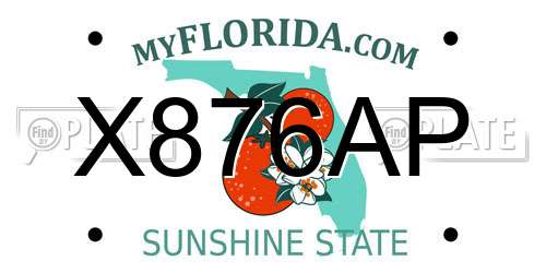 X876AP Florida License Plate