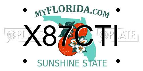 X87CTI Florida License Plate