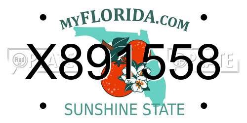 X891558 Florida License Plate