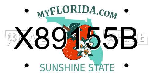 X89155B Florida License Plate