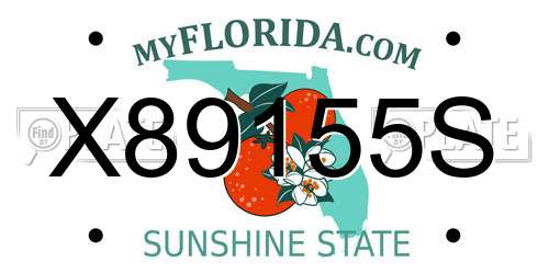 X89155S Florida License Plate