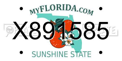 X891585 Florida License Plate