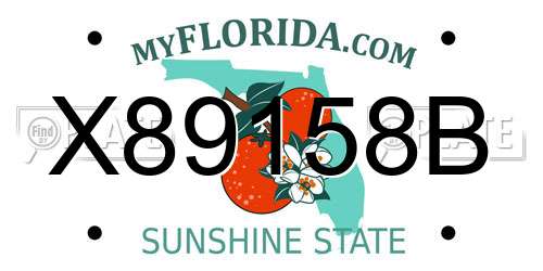 X89158B Florida License Plate