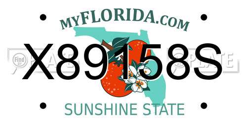 X89158S Florida License Plate