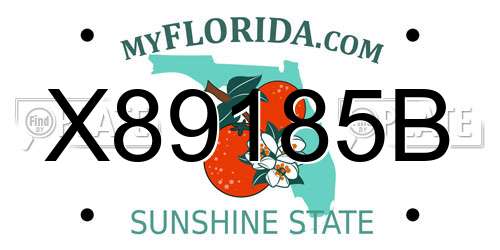 X89185B Florida License Plate