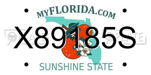 X89185S Florida License Plate