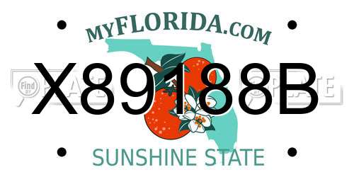 X89188B Florida License Plate