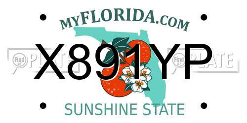 X891YP Florida License Plate