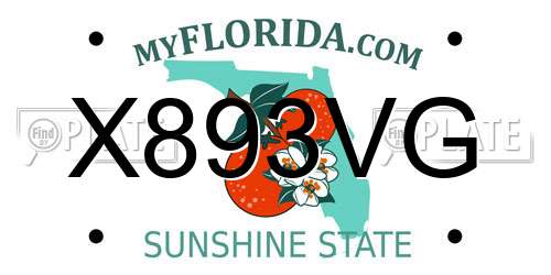 X893VG Florida License Plate