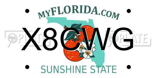 X8CWG Florida License Plate