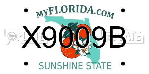 X9009B Florida License Plate