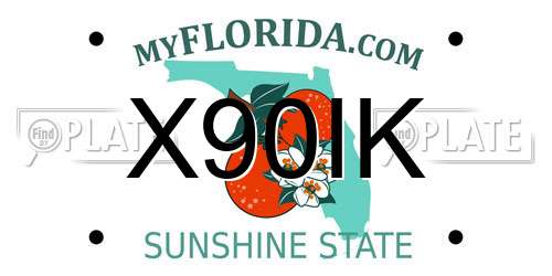X90IK Florida License Plate