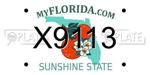 X9113 Florida License Plate