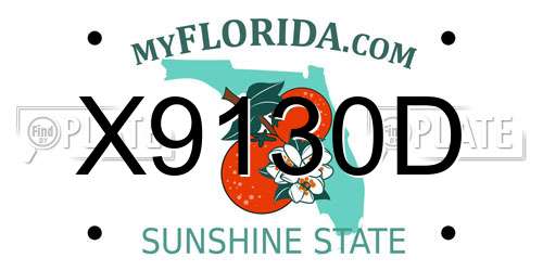 X9130D Florida License Plate