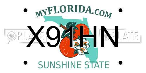 X91HN Florida License Plate