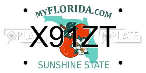 X91ZT Florida License Plate