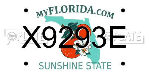 X9293E Florida License Plate