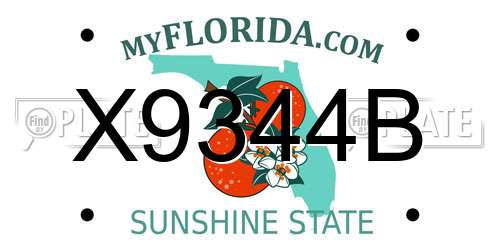 X9344B Florida License Plate